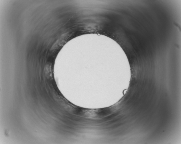 X0000103930182200810171800