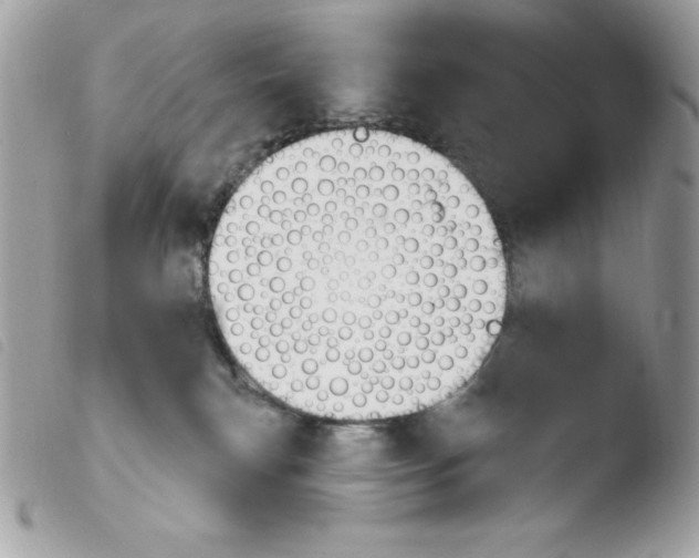 X0000103930183200810171800