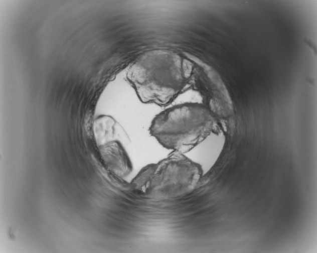 X0000103930185200810171800