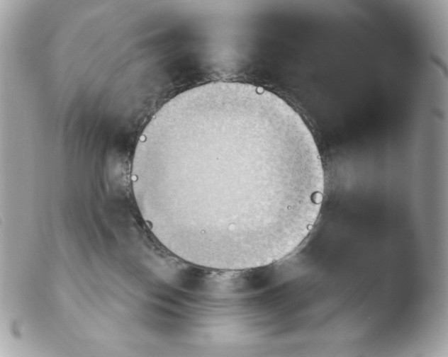 X0000103930186200810171800