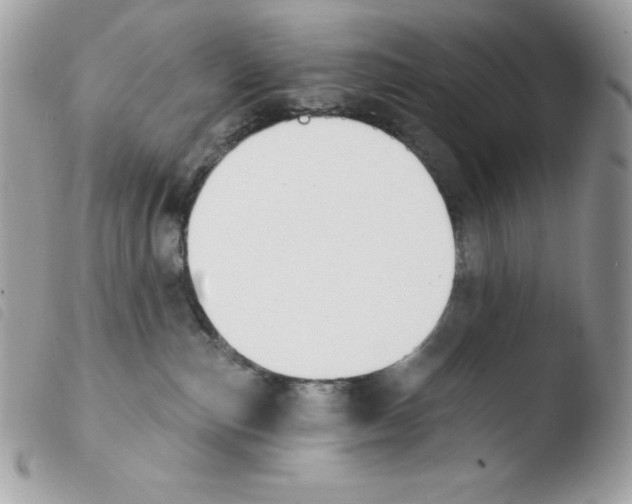 X0000103930187200810171800