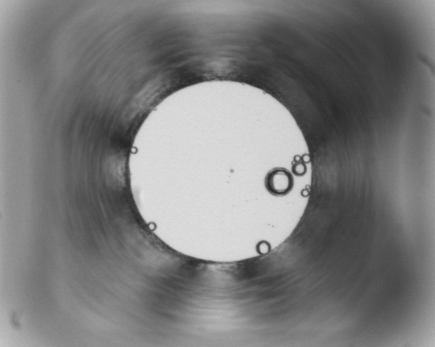 X0000103930188200810171800