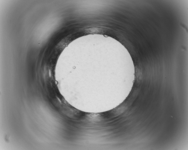 X0000103930189200810171800