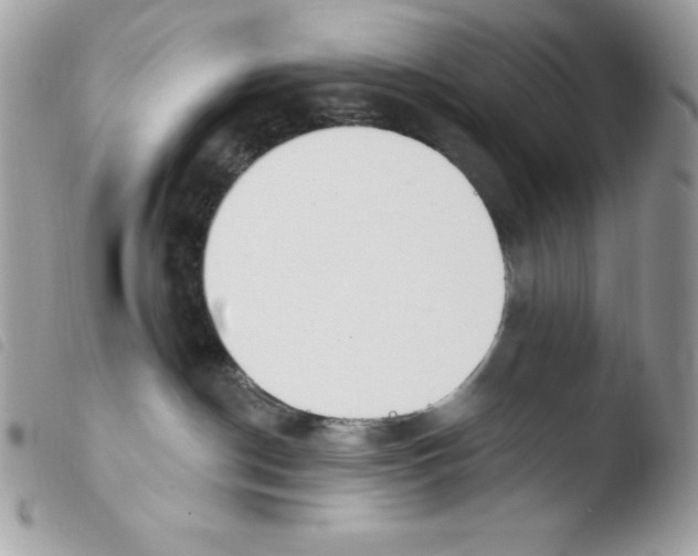 X0000103930190200810171800