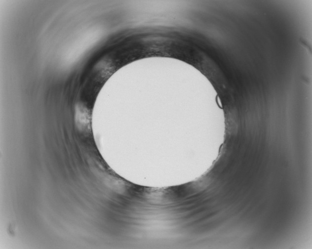 X0000103930191200810171800