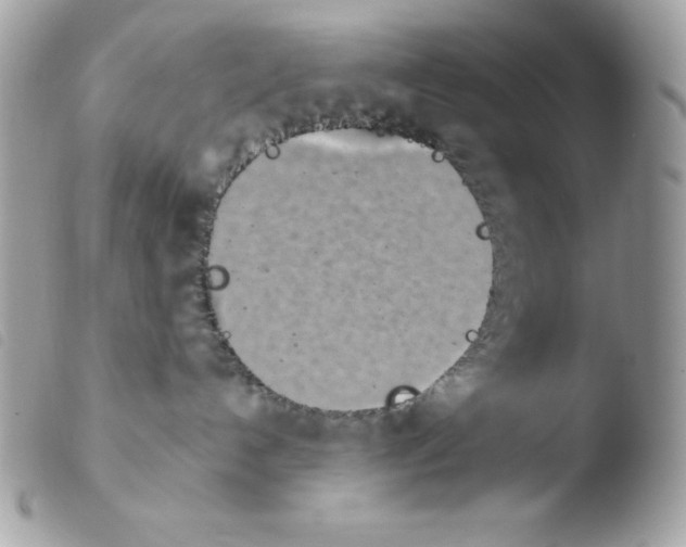 X0000103930192200810171800