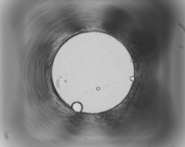 X0000103930193200810171759