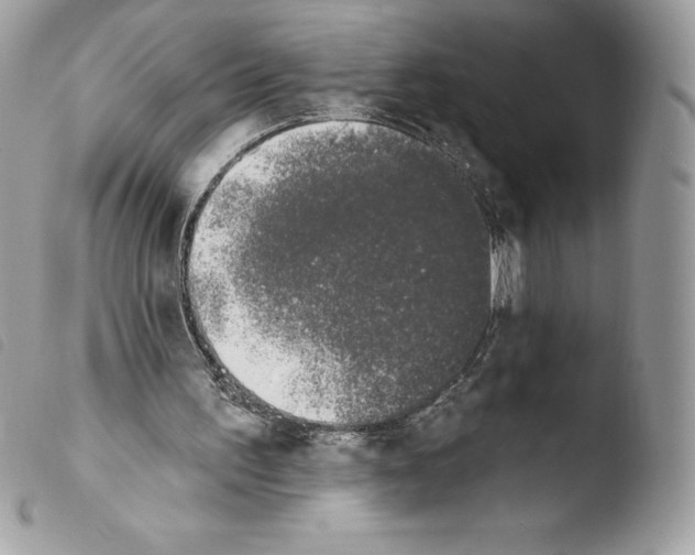 X0000103930195200810171759