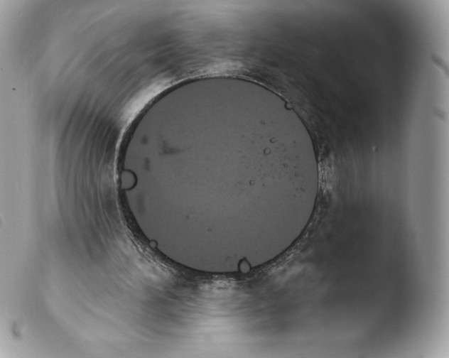 X0000103930196200810171759