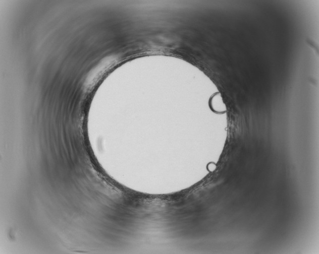 X0000103930197200810171759