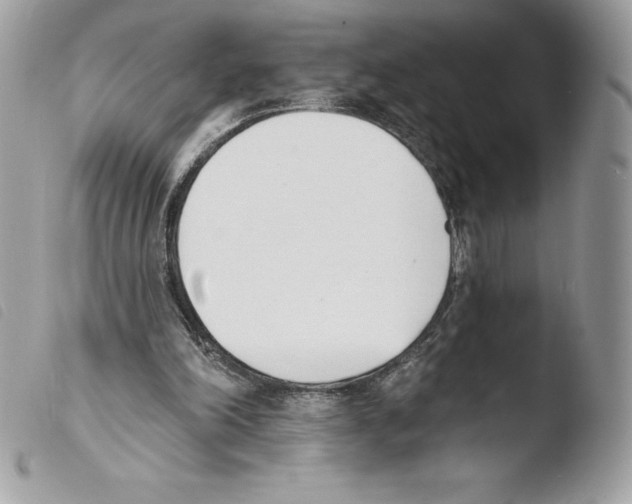 X0000103930198200810171759