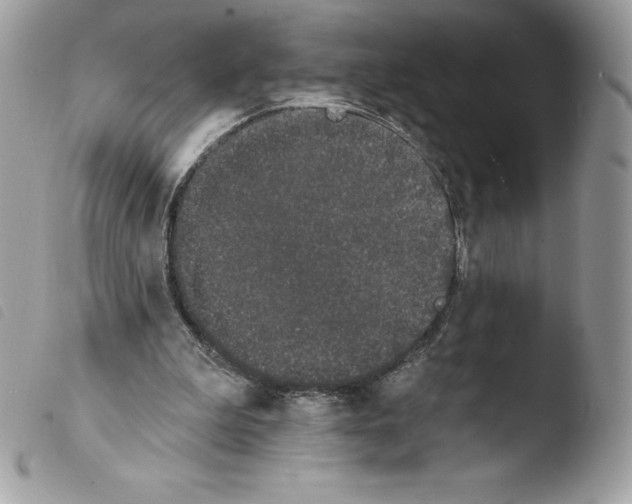 X0000103930199200810171759