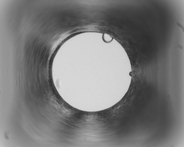 X0000103930200200810171759