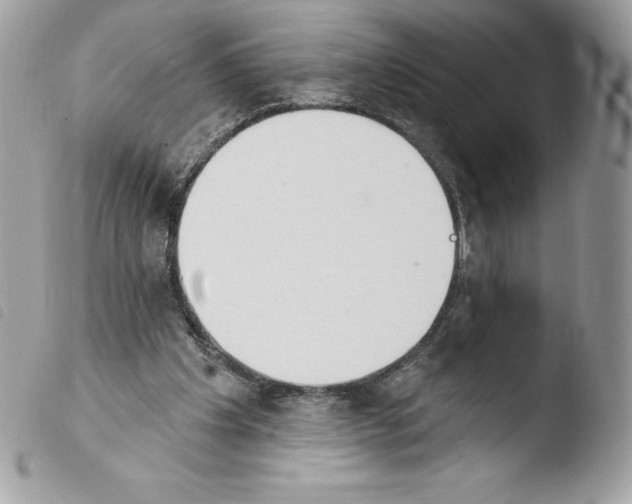 X0000103930201200810171759