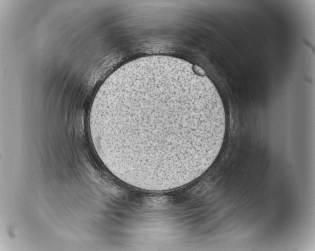 X0000103930202200810171759