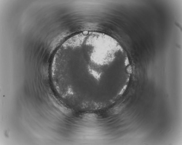 X0000103930203200810171759