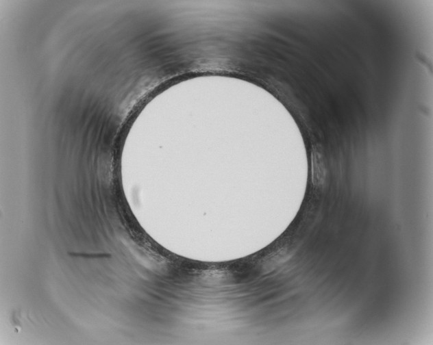 X0000103930204200810171759