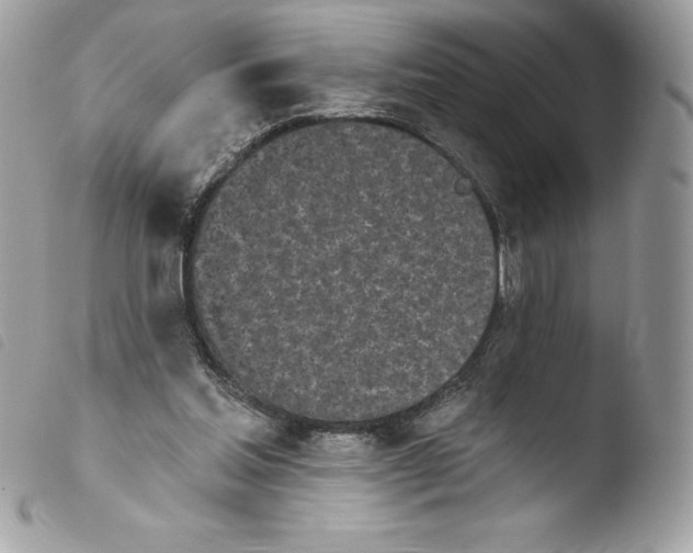 X0000103930205200810171759