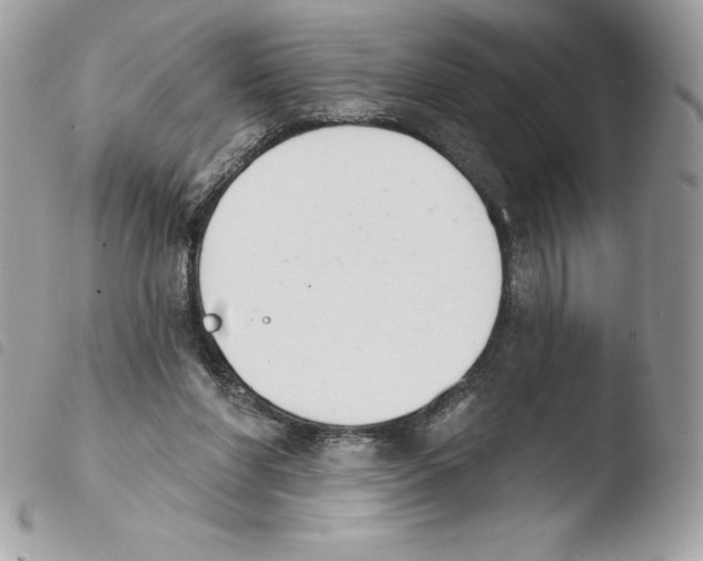 X0000103930206200810171759