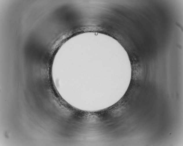 X0000103930207200810171759