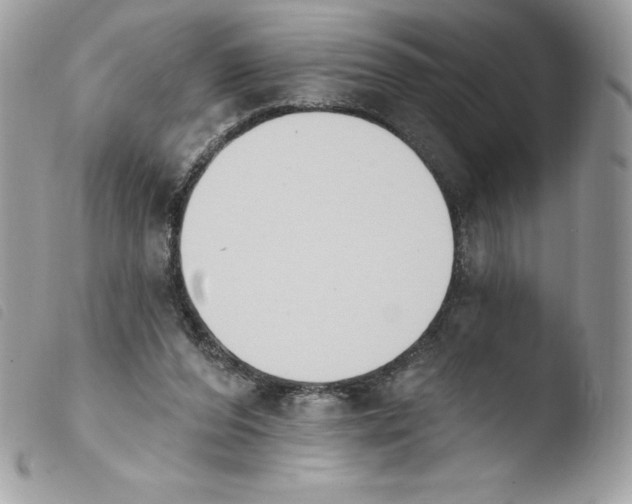 X0000103930208200810171759