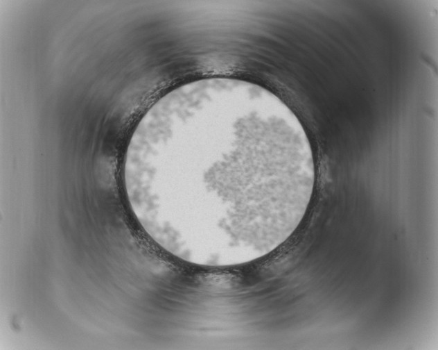 X0000103930209200810171759