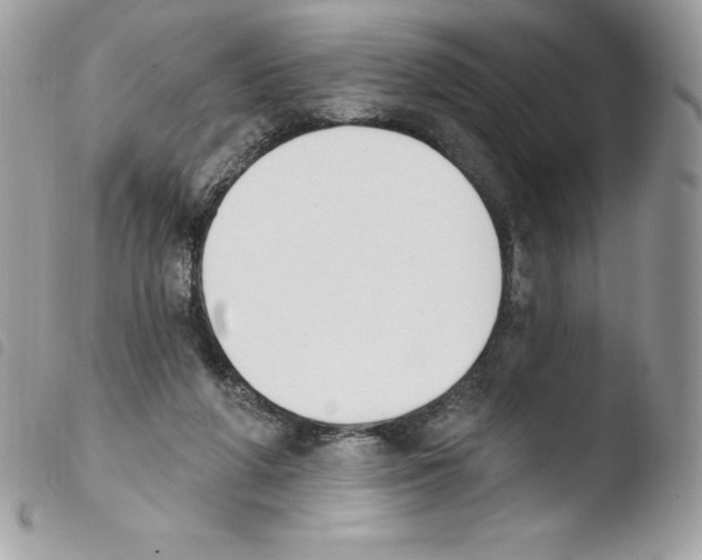 X0000103930210200810171759