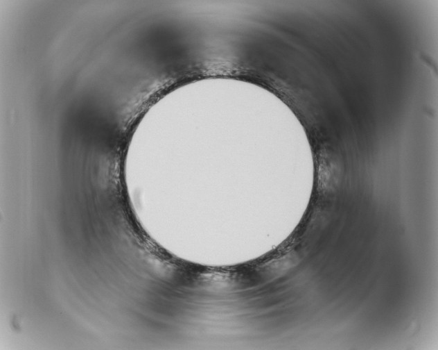 X0000103930211200810171759