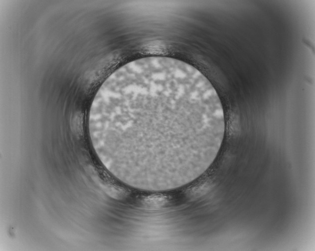 X0000103930213200810171759