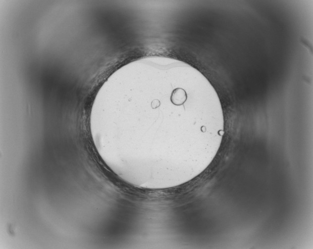 X0000103930215200810171759