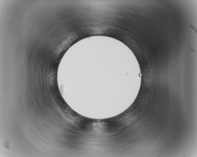 X0000103930216200810171759