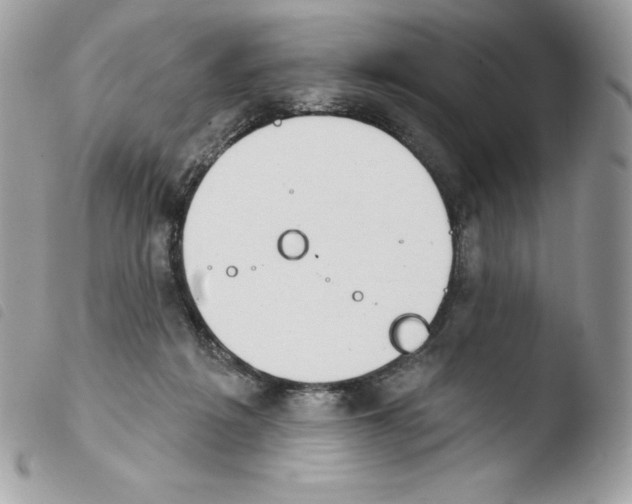 X0000103930217200810171759