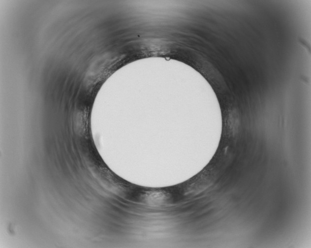 X0000103930218200810171759