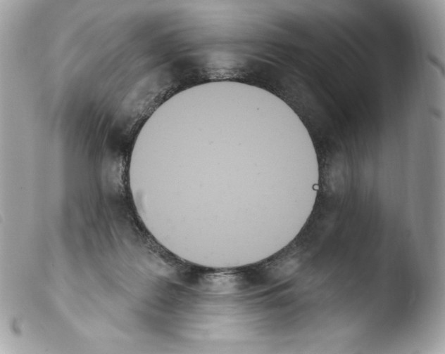 X0000103930219200810171759