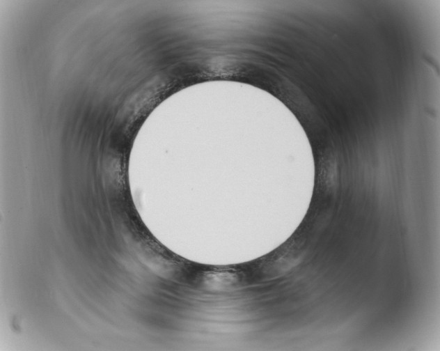 X0000103930220200810171759