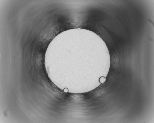 X0000103930221200810171759