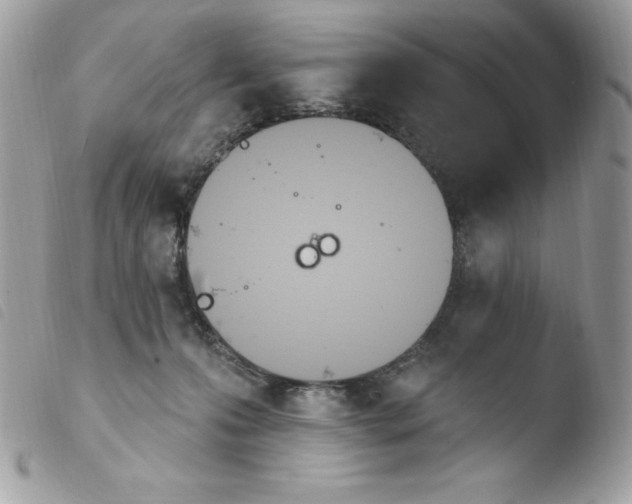 X0000103930223200810171759