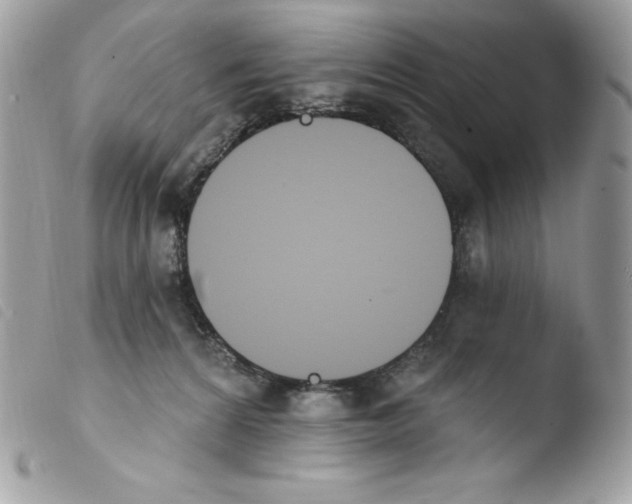 X0000103930224200810171759