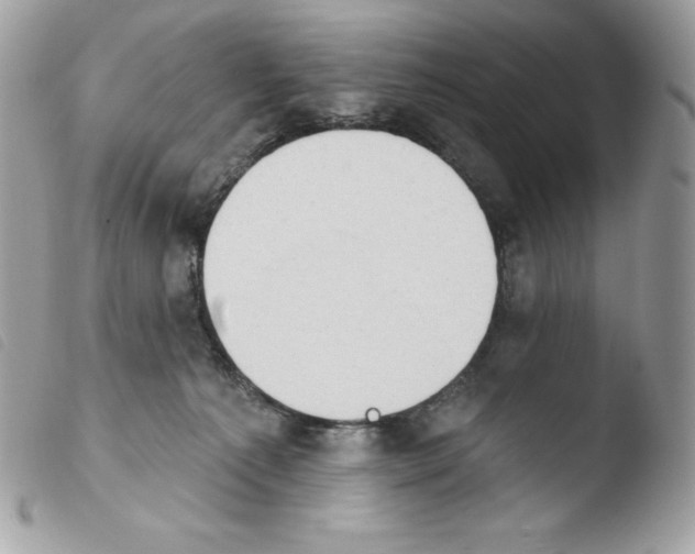 X0000103930225200810171759