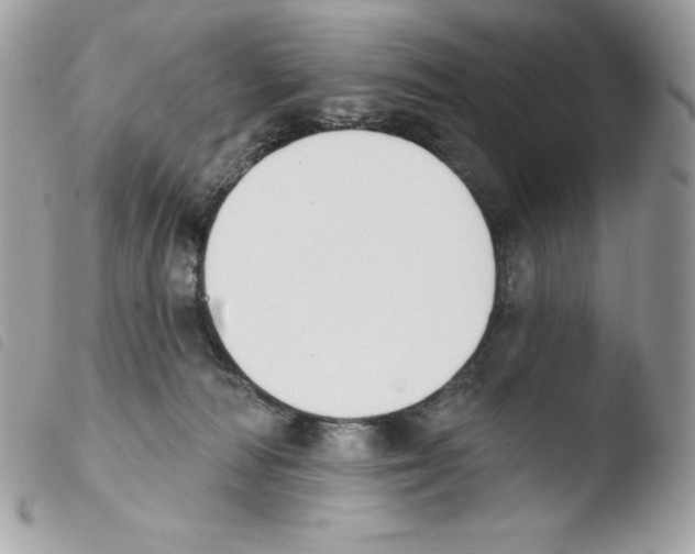 X0000103930226200810171759