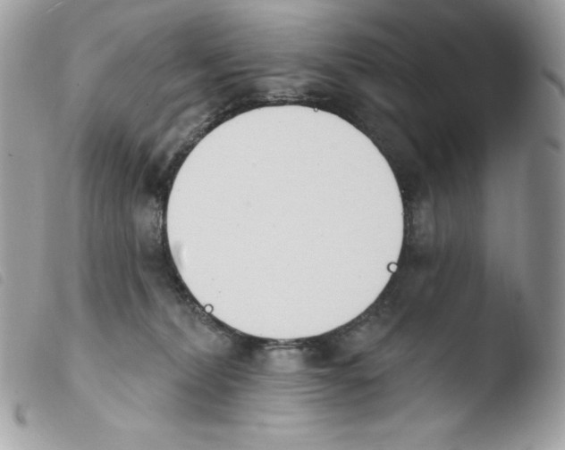 X0000103930228200810171759