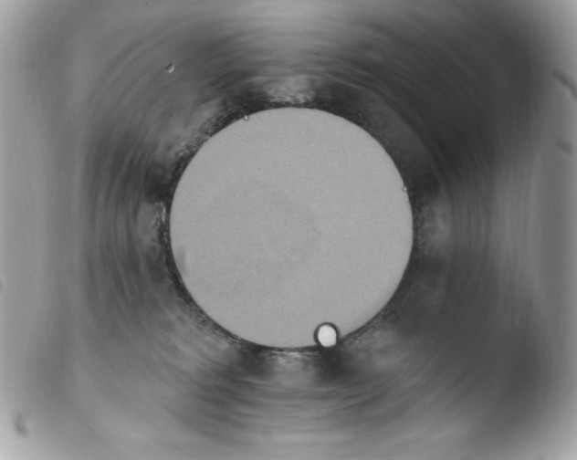 X0000103930229200810171759