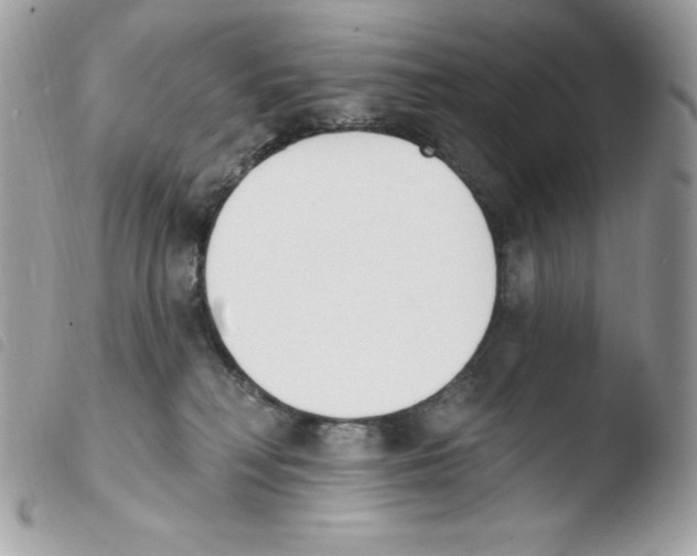 X0000103930230200810171759