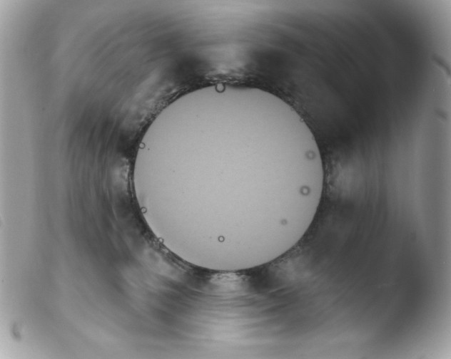 X0000103930231200810171759