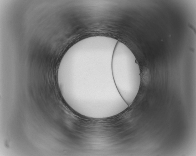 X0000103930233200810171759