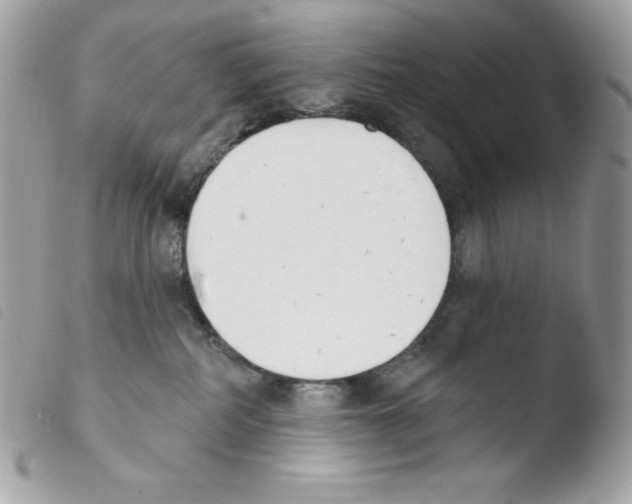 X0000103930234200810171759