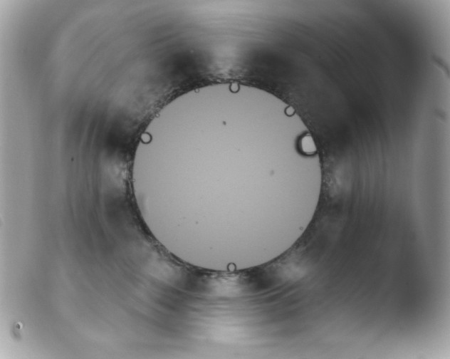 X0000103930235200810171759