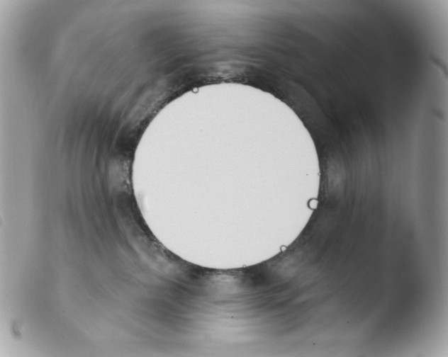 X0000103930236200810171759