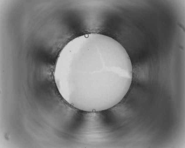 X0000103930237200810171759