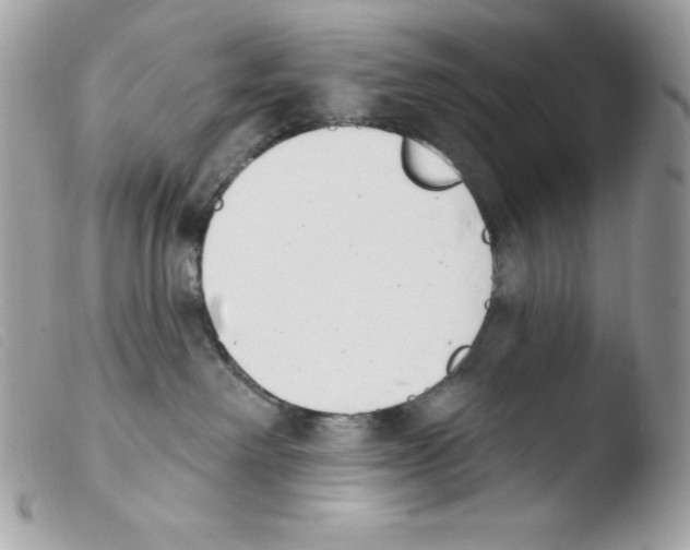 X0000103930238200810171759